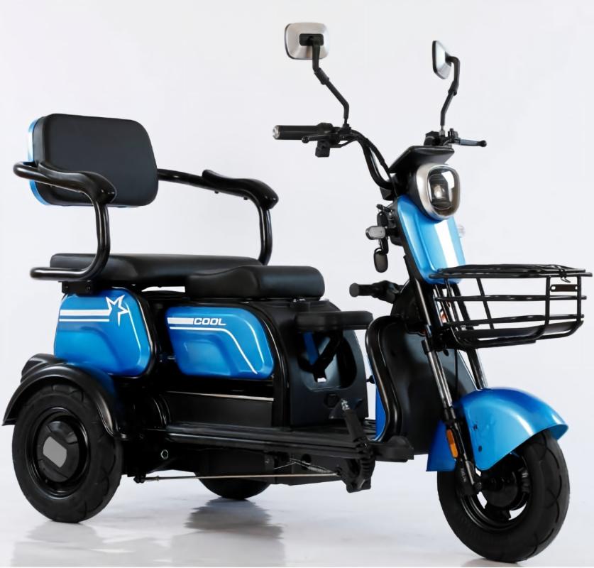 leisure Electric  tricycle 
