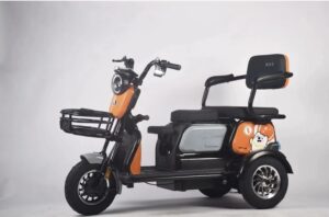 leisure electric tricycle