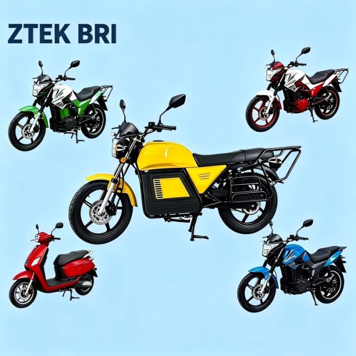 Electric Motor